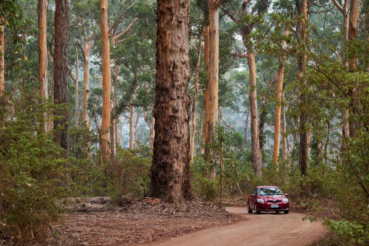Rac Margaret River Nature Park ภายนอก รูปภาพ