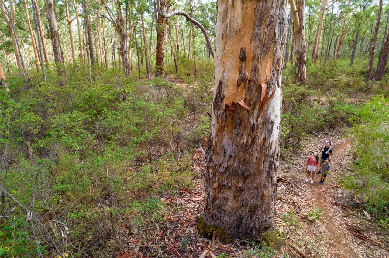 Rac Margaret River Nature Park ภายนอก รูปภาพ